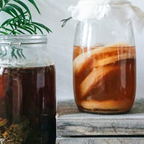 Kombucha : La Boisson Fermentée aux Vertus Surprenantes