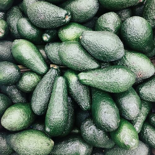 Les Bienfaits de l’Avocat : Un Trésor Vert pour la Santé