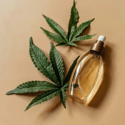 Les Bienfaits du CBD en Cuisine : Une Tendance Savoureuse et Apaisante