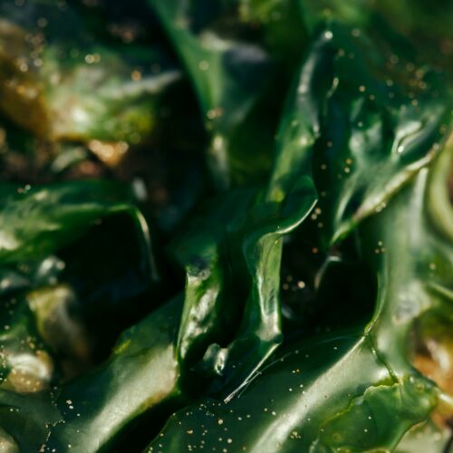 Les Superaliments 2025 : Tout Ce Que Vous Devez Savoir