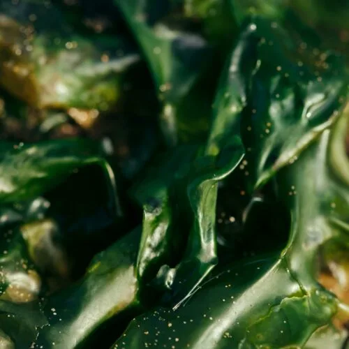 Les Superaliments 2025 : Tout Ce Que Vous Devez Savoir